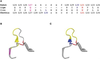 Understanding the Significance and Implications of Antibody Numbering and Antigen-Binding Surface/Residue Definition